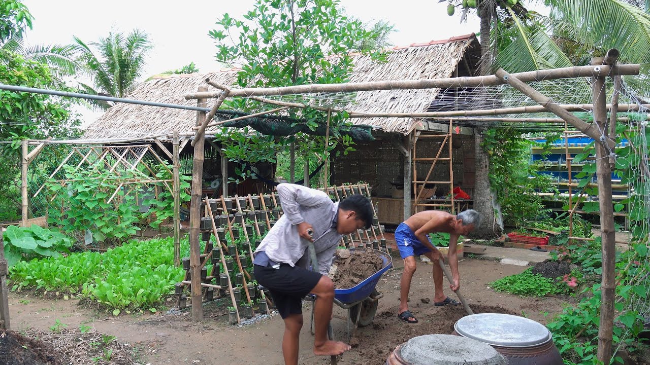 Hành trình xây dựng vườn rau cho Mẹ 